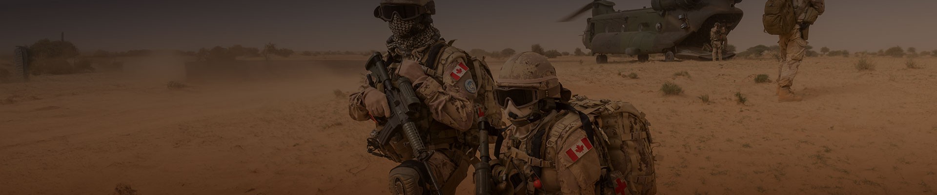 Bivouac Bag Laminate